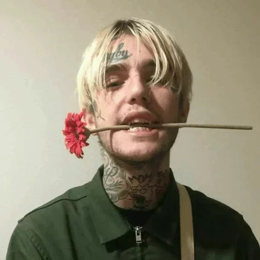 lil peep, lil wayne, lil peep rose, lil mengintip mati, lil peep hellboy