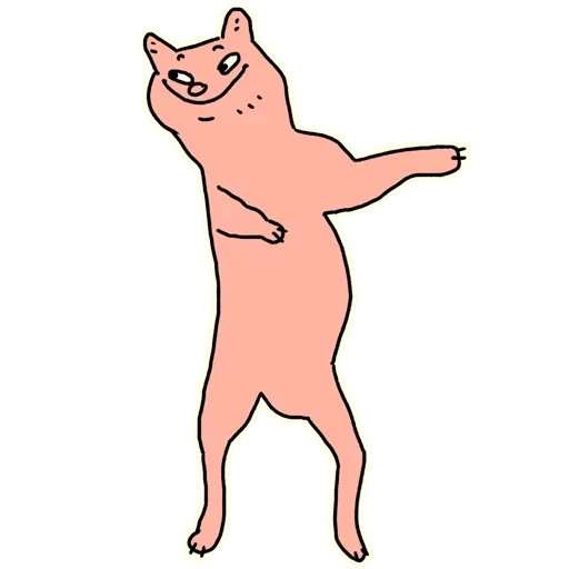 cat, cat, seal, people, dancing cat