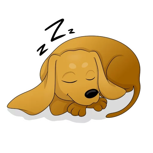 dog, cachorro, animal, portador do sono do cão, diagrama de cachorro