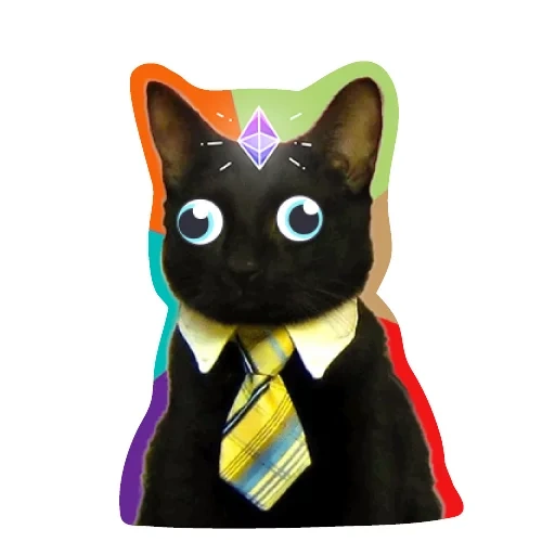 chat, chat noir, le chat est une tasse, le chat est une cravate, cravate de chat têtu
