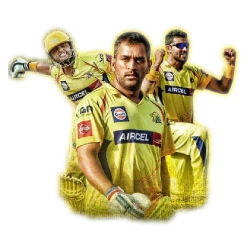 ipl, csk, ms dhoni, thalaivas tamoul, chennai super kings