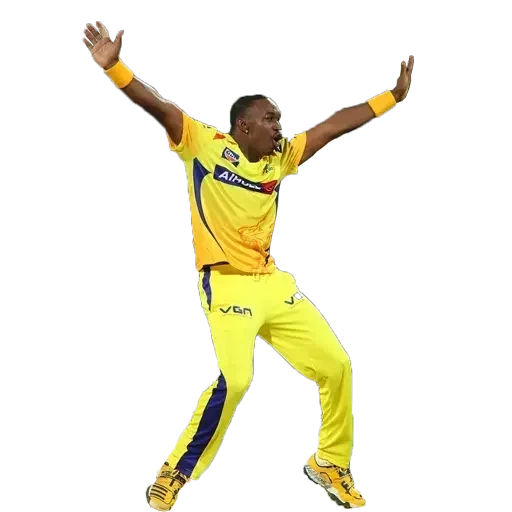 dhoni, jantan, ms dhoni, pemain sepakbola, dwayne bravo