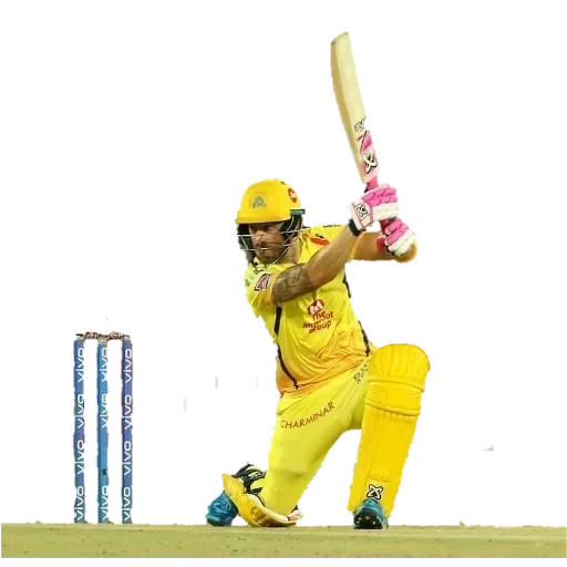 dhoni, cricket, ms dhoni, cricket ipl ogo, калькутта кинг райдерс