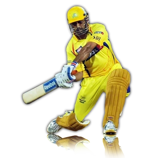 ipl ms22, ms dhoni, india sport, calcutta king ryders, disappointed crykket fan