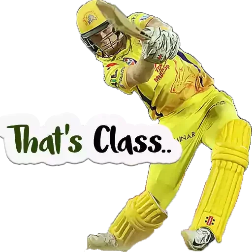 logo, the cricket, frau dhoni, uba könig von delhi, kolkata kings riders