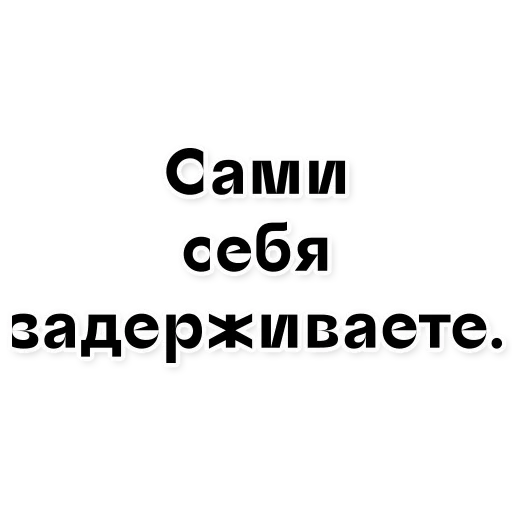 cat, human, inscriptions with meaning, motivating phrases, never pity yourself only sorry for the insignificance