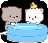 kucing, kucing mochi, mochi cat goma, kucing kawaii, kitty chibi kawaii