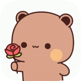 kawaii, the drawings are cute, kawaii animals, the animals are cute, bear is sweet