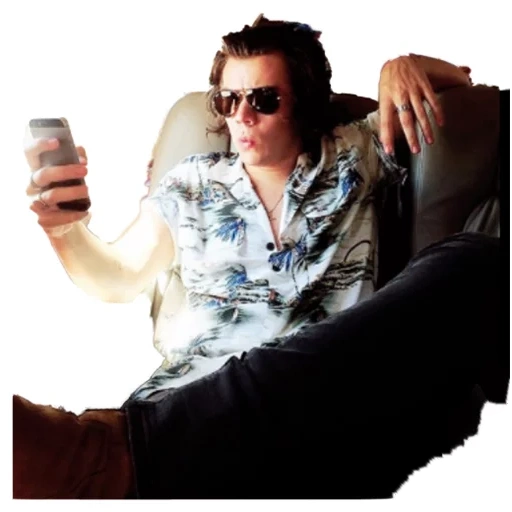 mec, styles harry, selfie harry styles, harry styles par avion