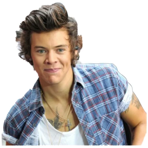 harry steelers, one direction, 5 seconds summer, harry steelers eric, harry stiles van direczen