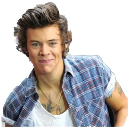 harry styles, eine richtung, 5 sekunden sommer, harry stiles eric, harry styles van direct