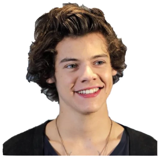 harry, harry stil, harry styles, eine richtung, one direction harry