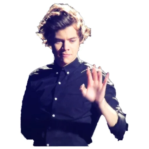 joven, harry steelers, one direction, watt harry's styles, grupo de estilo harry unidireccional