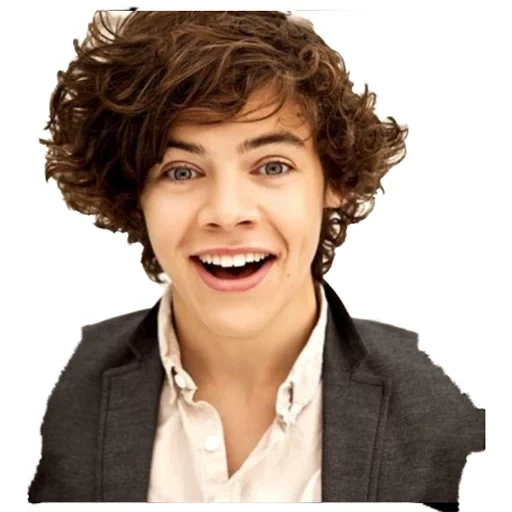 harry, harry style, harry steelers, one direction, harry styles ahora