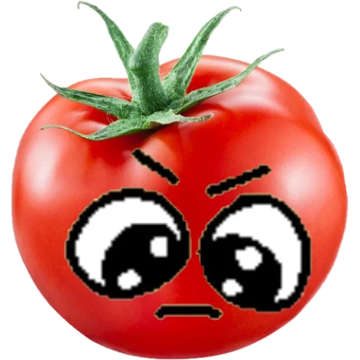tomat, tomat, tomat, tomat