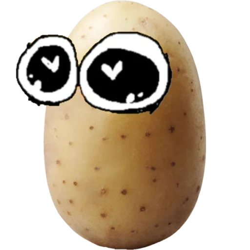 potatoes, potato, the potato, potato glasses, daisy potatoes