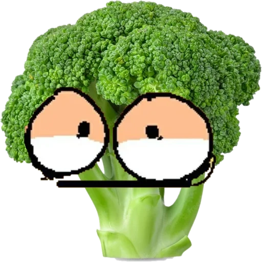 niño, brócoli, brócoli, brócoli ridículo