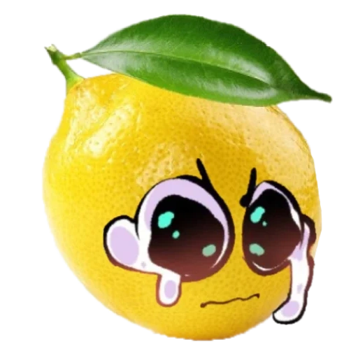 limone, lemonchik, ng limone, lemon chan, limone fresco