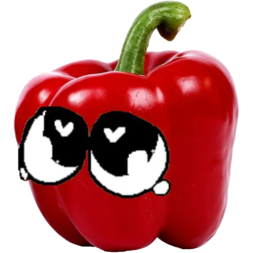 pepper, sweet pepper, sweet red pepper, pepper bulgarian red, pepper sweet red 9cm