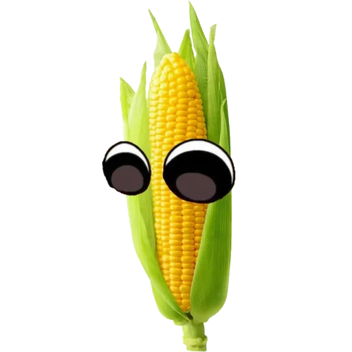 кукуруза, фон кукуруза, живая кукуруза, кукуруза анган, смешная кукуруза