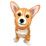 Corgi Dog @stickersb2b