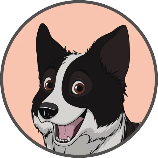 dog, border collie, the dogs are small, board collie vector, the eyes of the dog vector