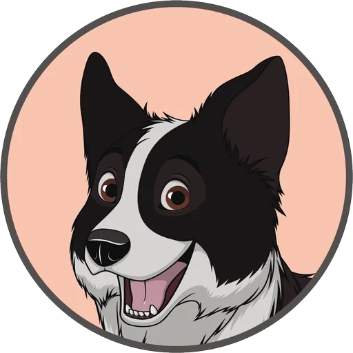 anjing, border collie, anjingnya kecil, vektor board collie, mata vektor anjing