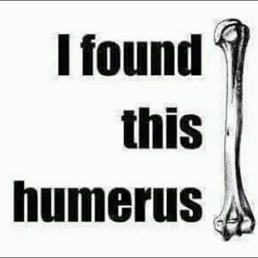 bone, текст, found this, the funny bone, i find this humerus
