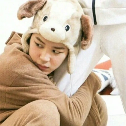 hunde, jimin doggy, park jimin, bangtan boys, pak jimin kigurumi