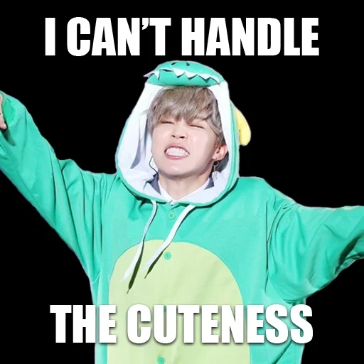 jimin, jimin bts, jimin bts, meninos de bangtan, jimin kigurumi