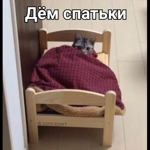 кровать кот, кроватка кота, кровать кошки, котик кроватке, деревянная кроватка кота