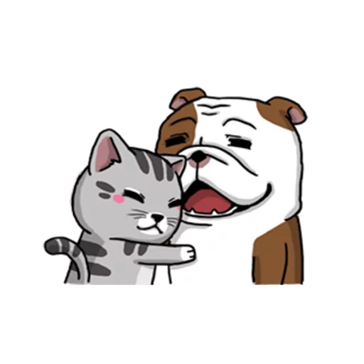 line, cat, dog cat, hugs, licks