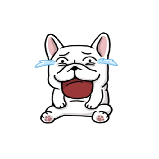 anjing, anak anjing, akhgau watsap, hewan lucu, french bulldog watsap