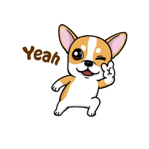 chihuahua, corgi cane, chihuahua cucciolo, modello chihuahua, cartoon chihuahua