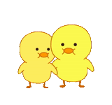 chick, pato amarillo, chick lindo, chick, dibuja 365 pollos