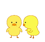 chick, the duck is yellow, yellow duckling, cute chicken, dancing chicken