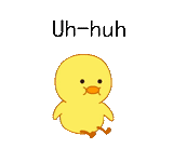 duckling, chick, the duck is yellow, yellow chicken, korean duckling