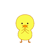chick, pato amarillo, chick lindo, pato de sichuan, lindo pollo de dibujos animados