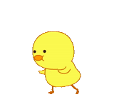 chick, yellow duckling, cute chicken, the chicken is dancing, dancing chicken