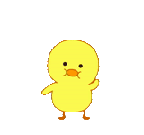 chick, yellow duck, cute chicken, yellow chicken, dancing chicken