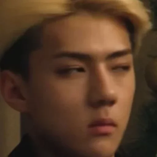 seul, 23 anos, sehun meme, a república da coréia, exo showtime sehun