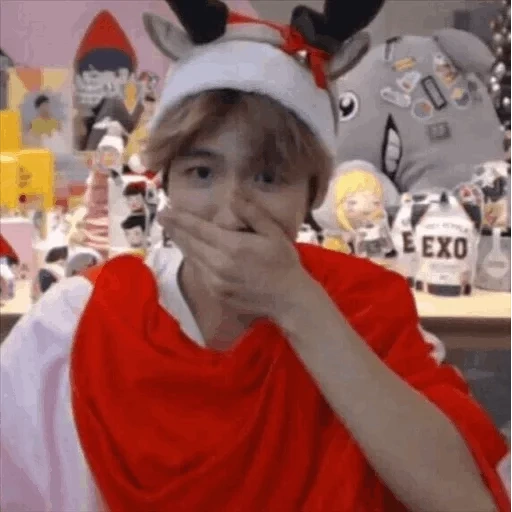 garoto, pak chanyeol, exo chanyeol, baekhyun exo, exo natal bekhyun