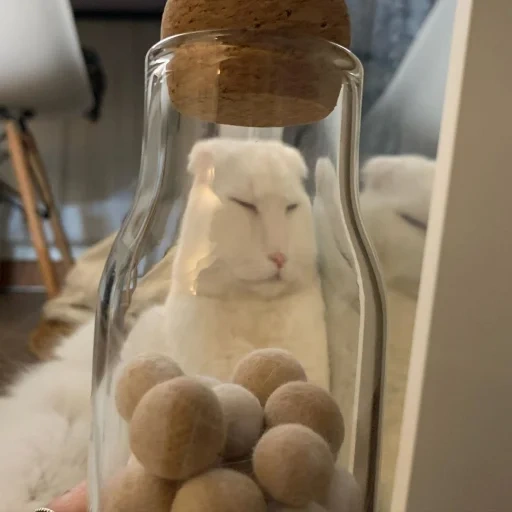 human, subject, glass jar, glass jars, cheese of a glass jar