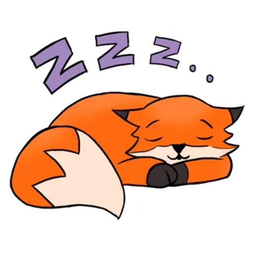 gatto, volpe, fox fox, volpe addormentata