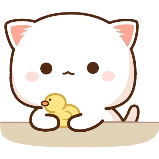 kucing, kawaii, kavai cat, pecinta kitty, kucing kawaii