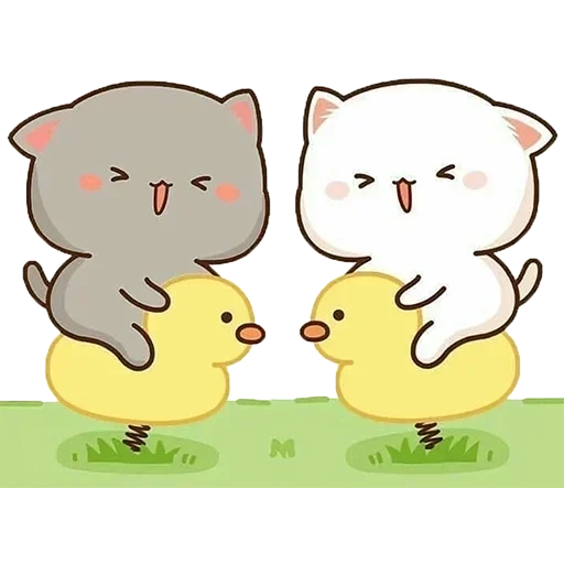 gambar kucing lucu, gambar berpasangan yang indah, gambar lucu sapi, gambar kucing lucu, love cats kawaii