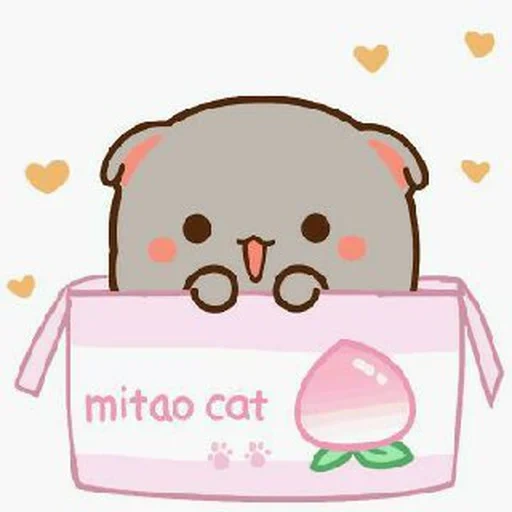 mitao cat, кавай котики, кавайный котик, каваи животные, кавайные котики