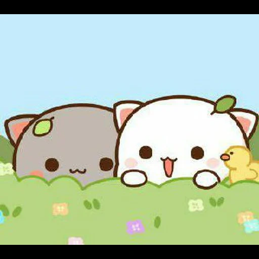 kawaii, mochi cat, katiki kavai, the animals are cute, kawaii face