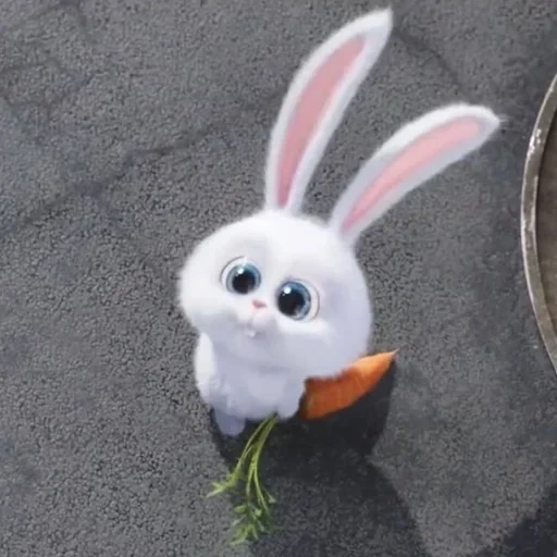 coniglio, bel coniglietto, cartoon little bunny, vita segreta dei cartoni animati di coniglio, vita segreta del cartone animato della carota coniglietto