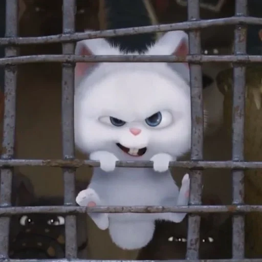 gato, bola de neve de coelho, nastya kamensky, última vida de animais de estimação snowball, last life of pets de ball de snow